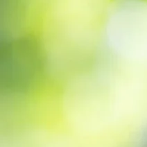 Dostupná pozadí ankety 4
